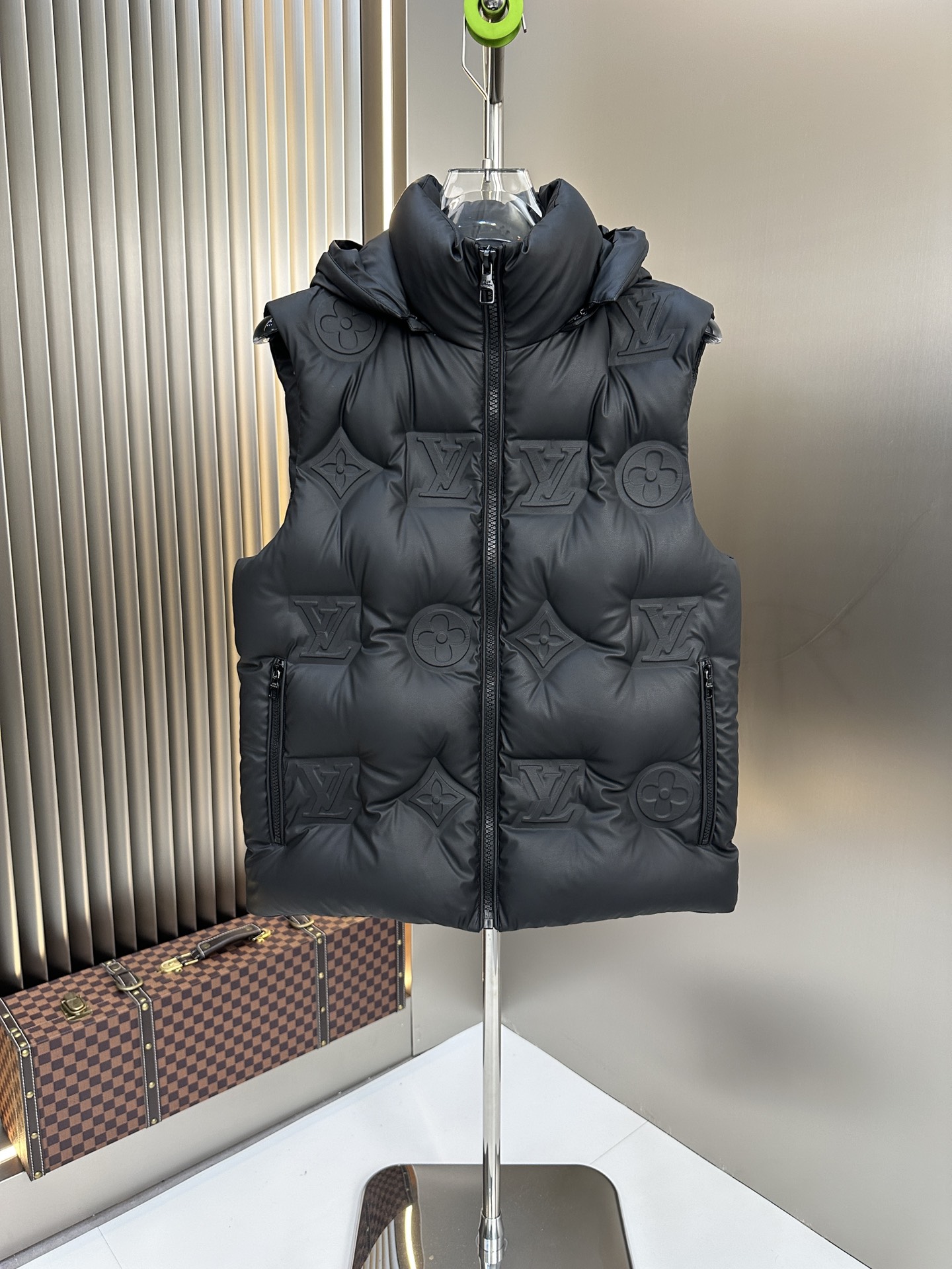 Louis Vuitton Down Jackets